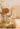 MOODSTORM Lilli Designer Study Room Chair from MOODSTORM