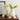NICEMOON Noah Living Room Ceramic Jewelry from NICEMOON