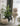 Nordic Bloom Villa Planter from Nicaijia