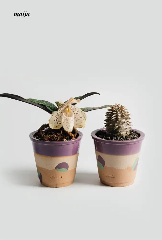 CIIREALS Eggplant Ceramic Planter from maija