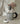 Ceramic Tea Set from maija