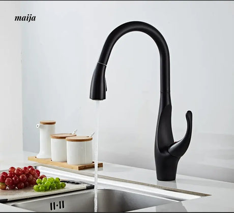 Extendable Multi-function Kitchen Faucet from Kaiyashi