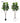 Artificial Fig Plant from Royal Forest