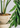 CIIREALS Fish Eye Candy Ceramic Planter from CIIREALS