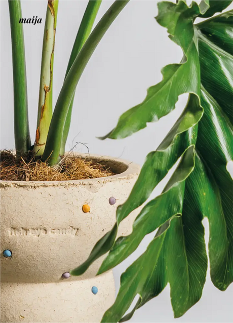 CIIREALS Fish Eye Candy Ceramic Planter from CIIREALS