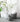 Rocco Nordic Style Gazebo Floor Decor Flower Pot from maija