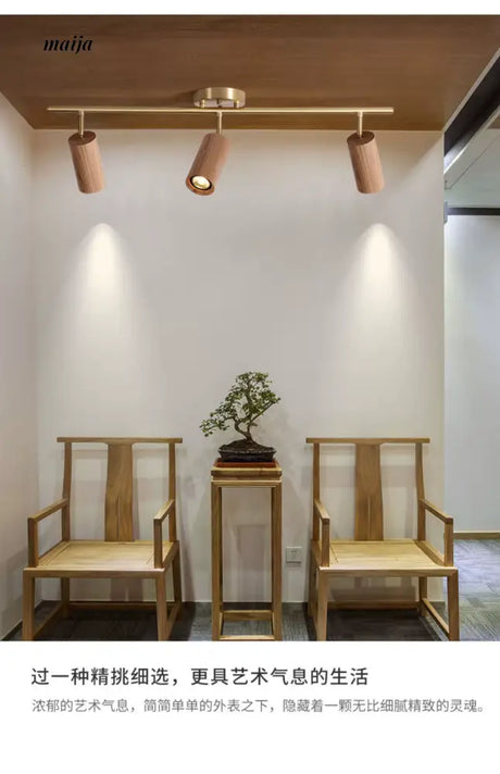 CH LIGHTING Mounted Ceiling and Wall Spot Light from CH LIGHTING