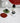 COLOURHUNTER Stone Coan Natural Stone Jewelry Plate from maija