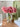 BANKE Retro Glossy Living Room Decorations Jewelry from BANKE