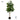 Artificial Rubber Plant from maija