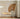 ZOOI HOME Shell Designer Dining Chair from ZOOI HOME