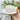 MOSE Japanese Retro Coffee Cup Set from MOSE