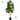 Artificial Rubber Plant from maija