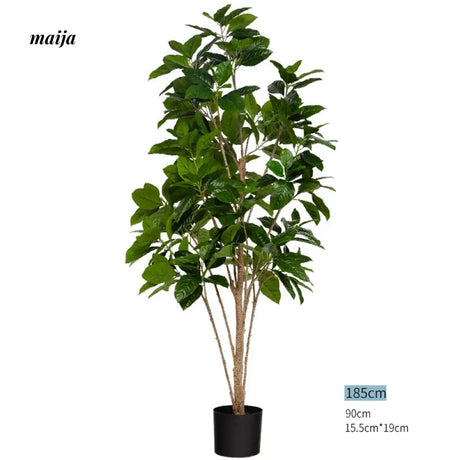 Artificial Rubber Plant from maija