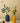 LIVETAI Creative Assembly Toy Flower from maija