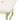 HOBBYTREE Kindergarten Teaching Toy from HOBBYTREE