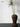 LILY WHITE Retro Plant Lamp Floor Decoration from LILY WHITE