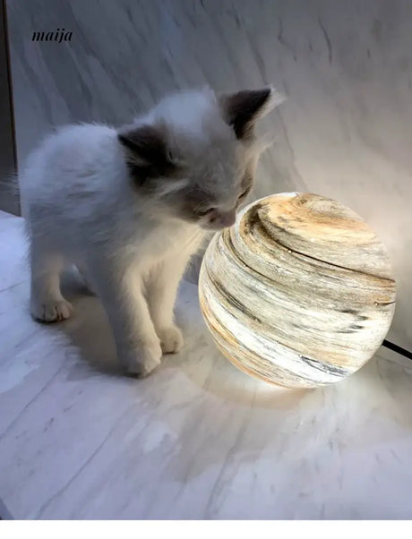 ALISA Selene Moon Table Lamp from ALISA