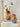 Antique Flower Vase from maija