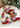 MELONGIRL Christmas Decoration Scene Layout from MELONGIRL