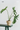 CIIREALS Fish Eye Candy Ceramic Planter from CIIREALS