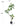 Artificial Golden Banyan Rubber Plant from maija