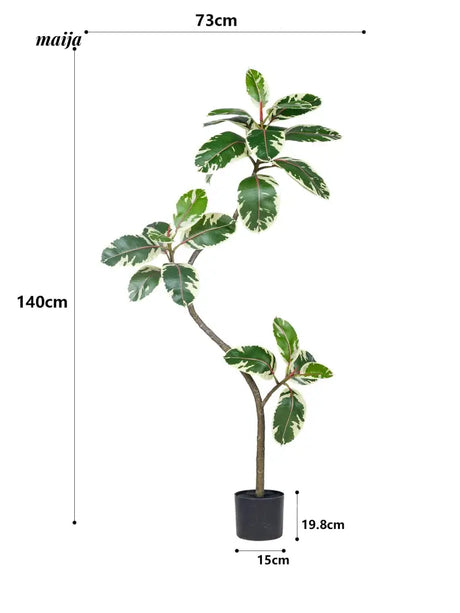 Artificial Golden Banyan Rubber Plant from maija