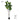 Artificial Fig Plant from Royal Forest