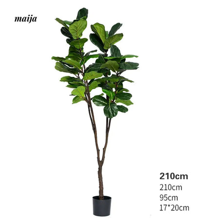 Artificial Fig Plant from Royal Forest