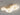 GVG Carmellia Flower Ceiling Lamp from GVG
