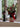CLICK Green Pine Branch Christmas Decor Set from CLICK