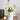 NICEMOON Mia Nordic Ceramic Accent Piece from NICEMOON