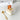 BANKE Large Capacity Breakfast Glass Ice Cream Cup from BANKE