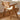 SLIGHTLYCOOL Strong Rattan Solid Wood Dining Chair from SLIGHTLYCOOL