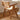 SLIGHTLYCOOL Strong Rattan Solid Wood Dining Chair from SLIGHTLYCOOL