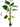 Artificial Monstera Plant from maija