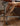 Cherry Wood Moveable Standing Desk from maija