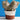 CIIREALS  Icing Ceramic Planter from CIIREALS