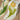 KENZAKI Washable Garden Rug from KENZAKI