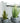 Josie Bloom Floor Flowerpot from maija