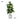 Artificial Rubber Plant from maija