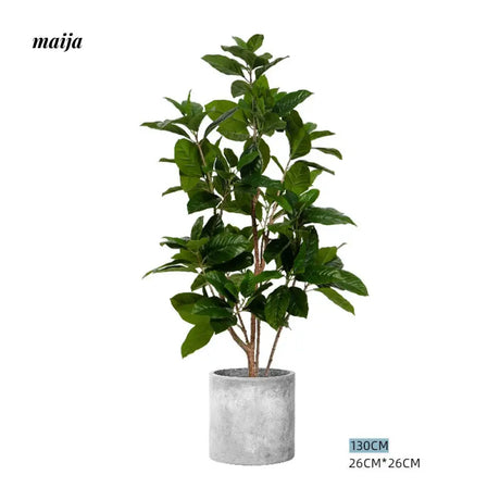 Artificial Rubber Plant from maija