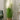 Artificial Reed Grass Plant from maija