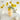 LIVETAI Glossy Milky Cream Vase from maija