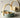 JOTO Ceramic Fruit Platter with Bamboo Lifted Handle from JOTO