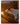 LINSYKIDS Tatami Solid Wood Children's Bed from LINSY KIDS