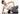 JOINFIT Wolf Tooth Massage Roller Enhanced Version from JOINFIT