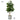 Artificial Rubber Plant from maija