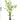 Artificial Super Tall Areca Palm Plant from maija