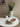 French Petal Fruit Bowl from maija